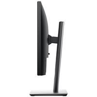 19" DELL Professional P1917S