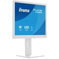 19" iiyama ProLite B1980S-W1