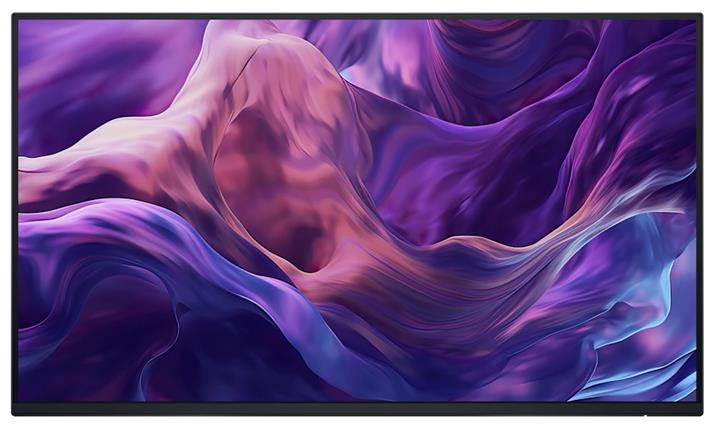 24" DELL P2425H - BEZ STOJANU
