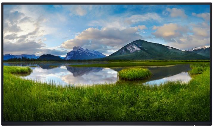 24" DELL P2425HE - BEZ STOJANU