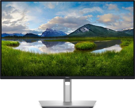 24" DELL Pro 24 Plus P2425DE