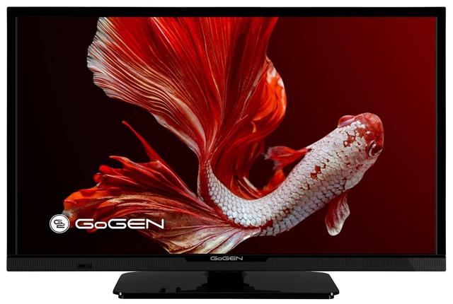 24" Gogen TVH 24P352T
