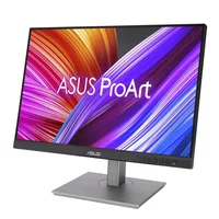 24" LCD ASUS PA248CNV