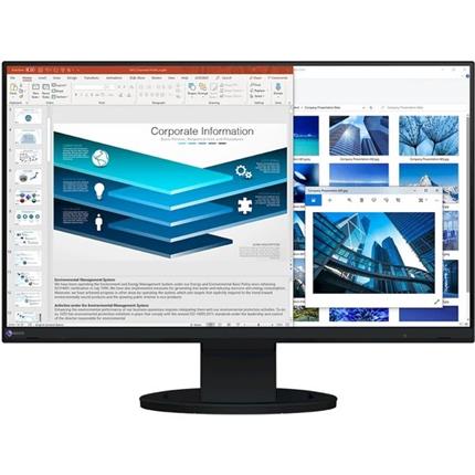24" LED EIZO EV2480