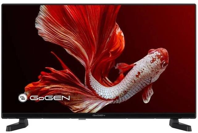 32" Gogen TVH 32P381T