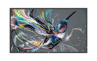 43" PHILIPS 43BDL3511Q-UHD černá