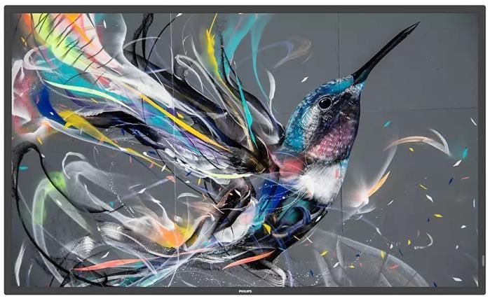 54.6" PHILIPS 55BDL3511