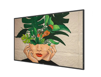 55" PHILIPS 55BDL4511