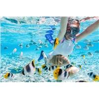 AGFAPHOTO Realimove CC4000W Black