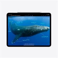 Apple iPad Pro 11" (2024) 1 TB (Nanotextura) Cellular stříbrný