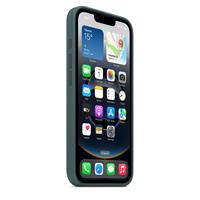Apple iPhone 16e Silicone Case – Lake Green