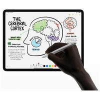 Apple Pencil (USB-C) tužka bílá