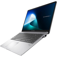 ASUS ExpertBook P1/P1503CVA-C058512X/5-210H/