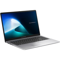 ASUS ExpertBook P1 (P1503CVA-S7C51)