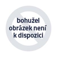 COBI 2417 Americký bitevní letoun F4U-4 Corsair