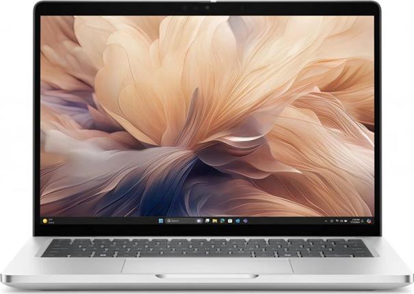 DELL Pro 13 Plus PB13250