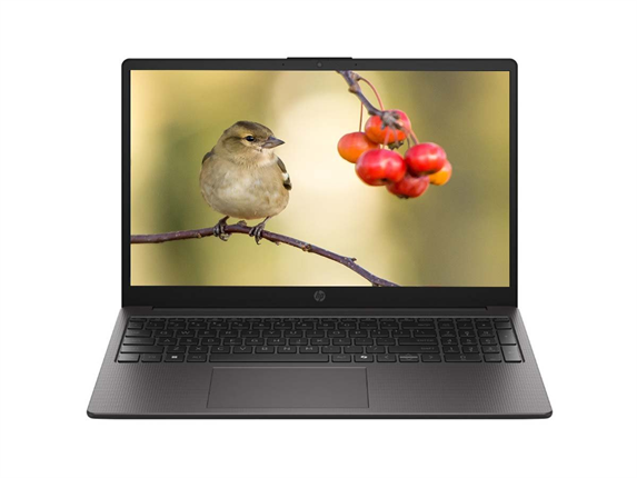 HP 255R G10