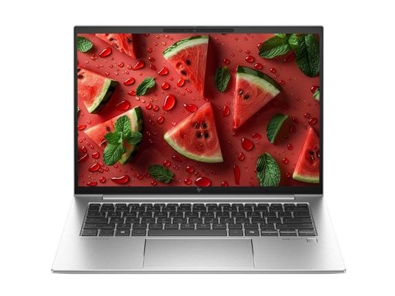 HP EliteBook 660 G11