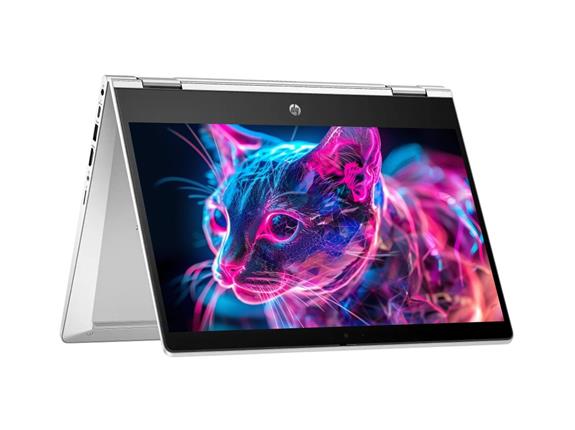 HP Pro x360 435 G10 Touch