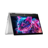 HP Pro x360 435 G10  Touch