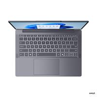Lenovo IdeaPad Slim 3 14ARP10 (83K60091CK)
