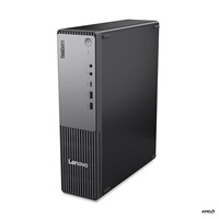 Lenovo ThinkCentre Neo 55s Gen 6 (13G00015CK)