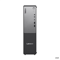 Lenovo ThinkCentre Neo 55s Gen 6 (13G00015CK)