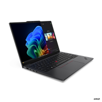 Lenovo ThinkPad X13 Gen 6 (21RM001RCK)