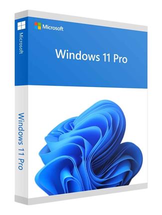 Microsoft Windows 11 Pro CZ 64Bit OEM elektronická licence