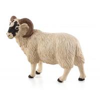 Mojo Animal Planet Beran Hampshire