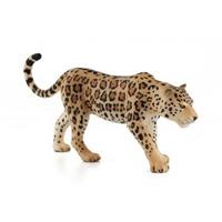 Mojo Animal Planet Leopard