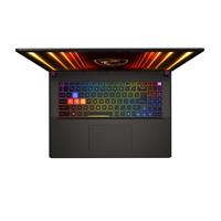 MSI Vector 17 HX AI (A2XWHG-035CZ)