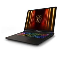 MSI Vector 17 HX AI (A2XWJG-031CZ)