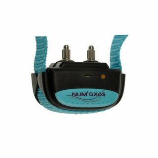 Num'axes CANICALM IKI pulse