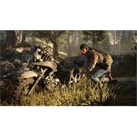 PS4 - Days Gone