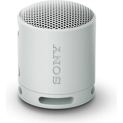 Sony SRS-XB100, šedá