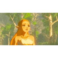 The Legend of Zelda: Breath of the Wild (SWITCH)