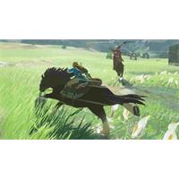 The Legend of Zelda: Breath of the Wild (SWITCH)
