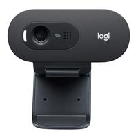 webcam Logitech HD Webcam C505e _
